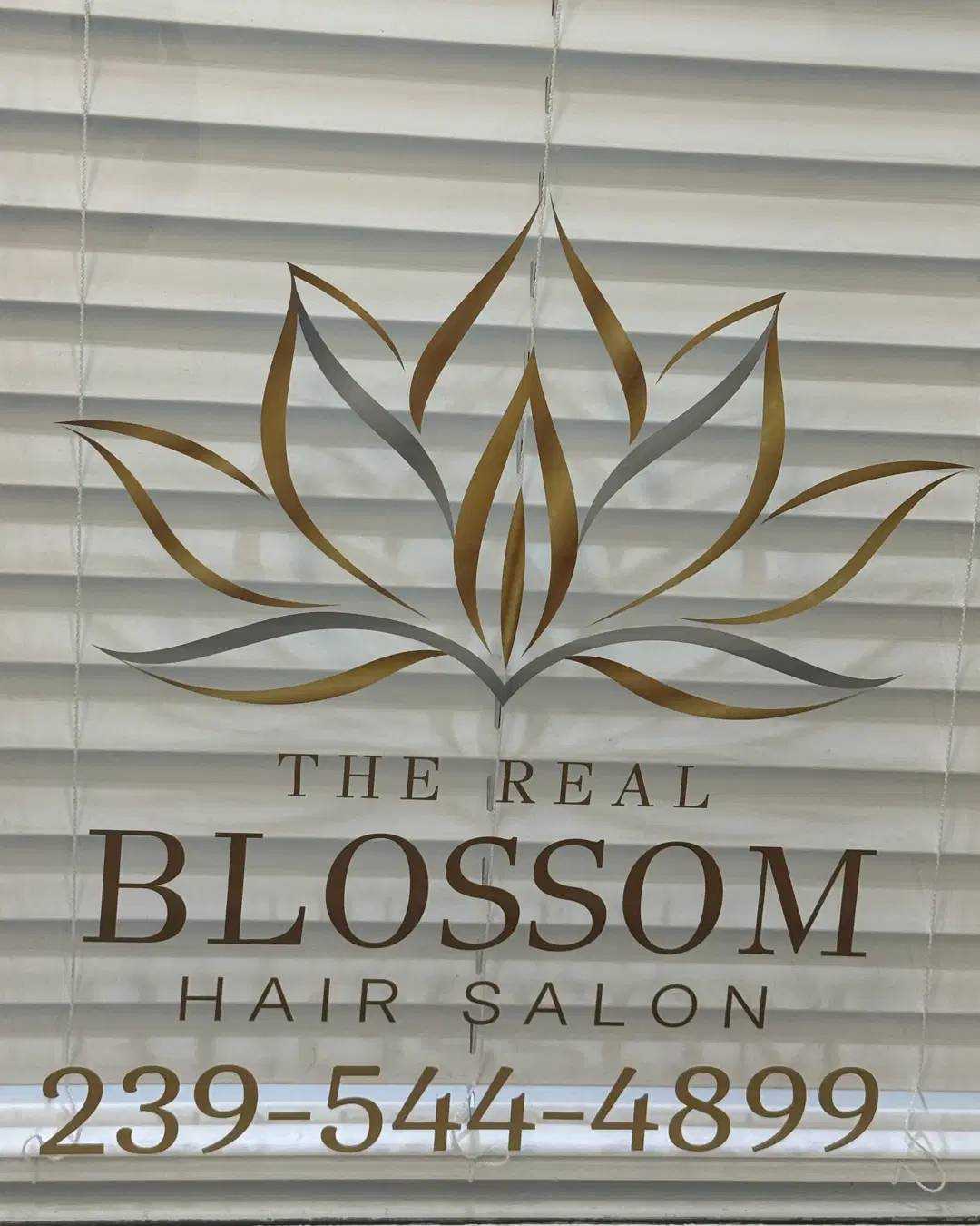 The Real Blossom lotus and wordmark on the suite's window blinds