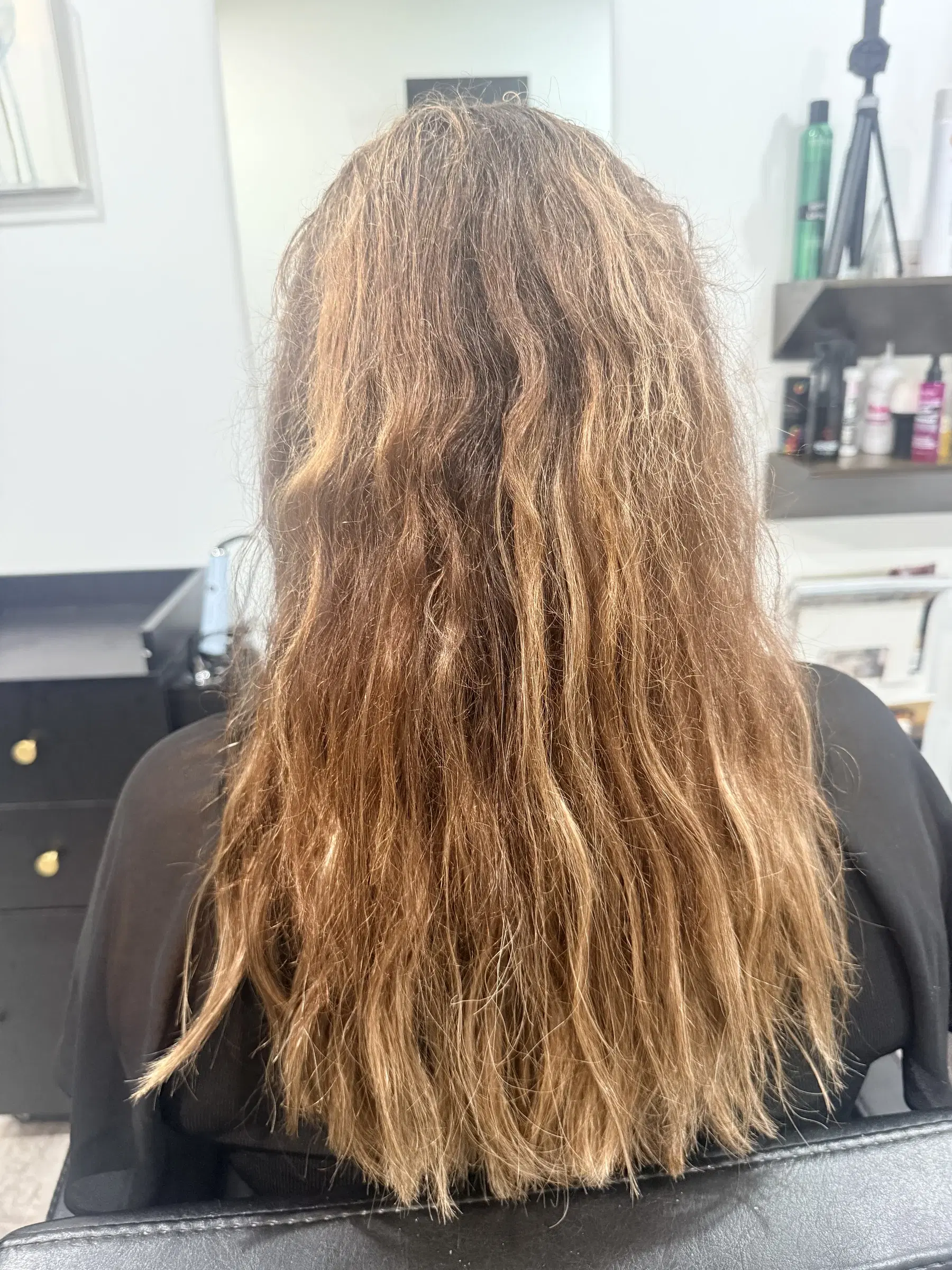 Long hair with brassy, uneven ends before color and a cut