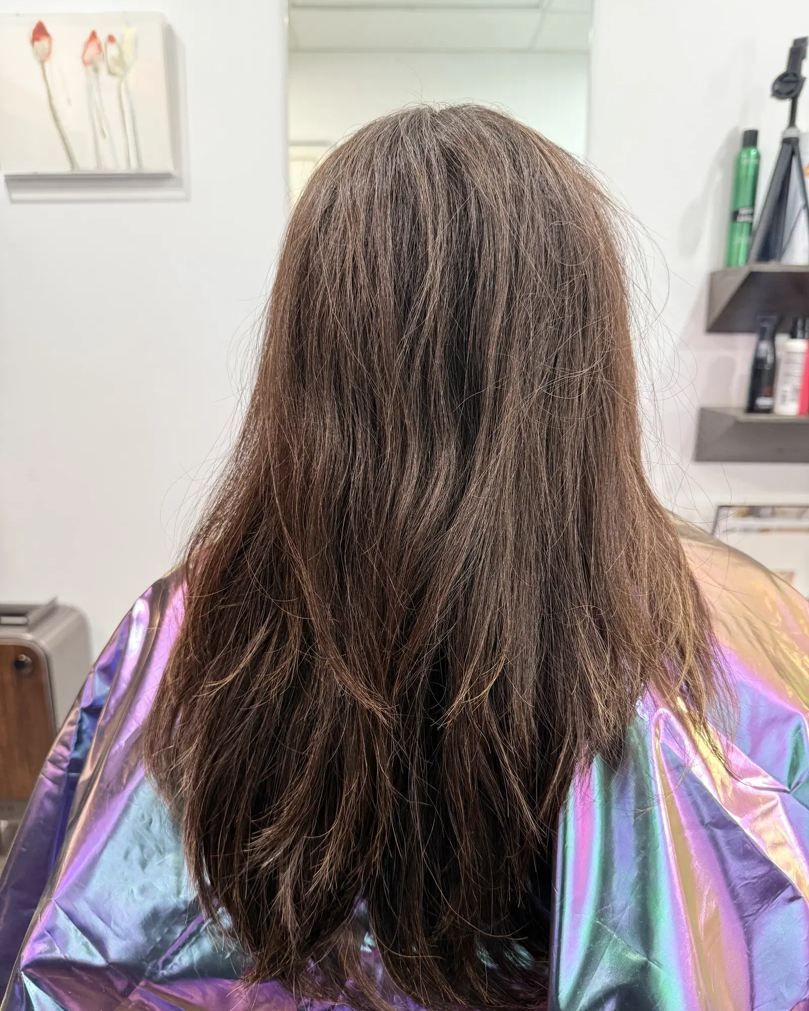 Long, heavy brown hair before a cut and highlights